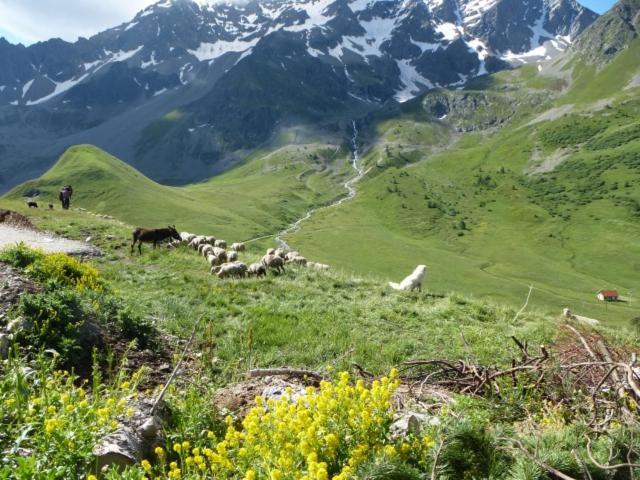 Appartement A La Montagne A La Meije Blanche Villar-dʼArène Exterior foto